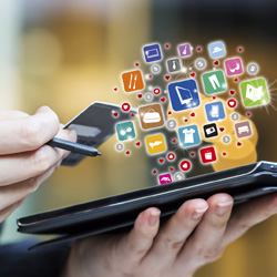 Web App e-Commerce | Pegasus Technology